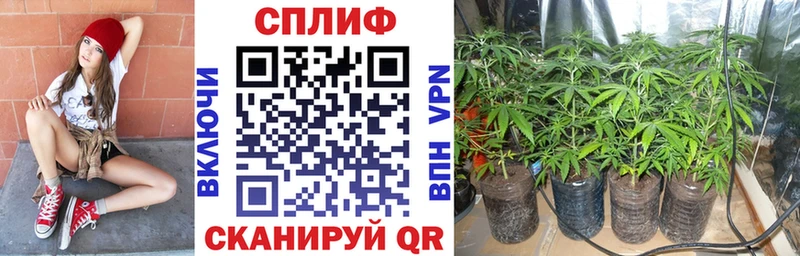 Марихуана конопля Чебоксары