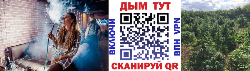 нарко площадка Telegram  Чебоксары  Марихуана SATIVA & INDICA 